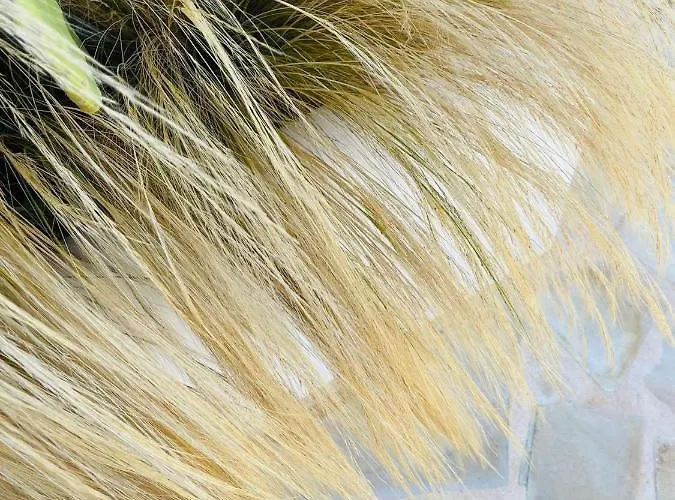 Casa Henrietta Vakantiehuis Jávea